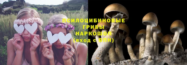 герыч Аркадак