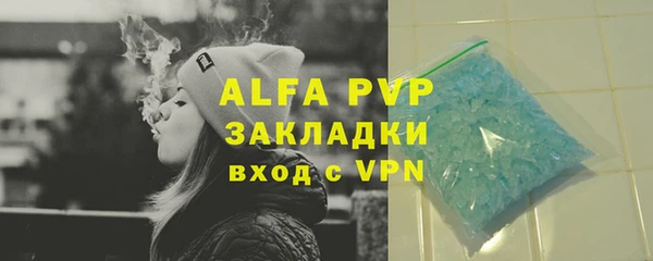 индика Балабаново