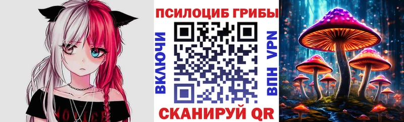 Галлюциногенные грибы GOLDEN TEACHER  сколько стоит  Магас 